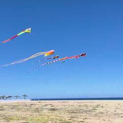 Instants magiques que ces grands cerf volants suspendus au dessus de la plage