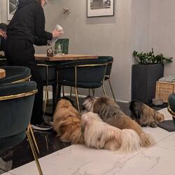 Yorkmute Café