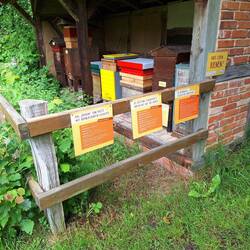 Interessantes zu Bienen und Imkerei