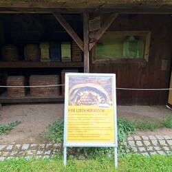 Wir haben keine Hornissen gesehen, war denen wohl zu kühl 😌
