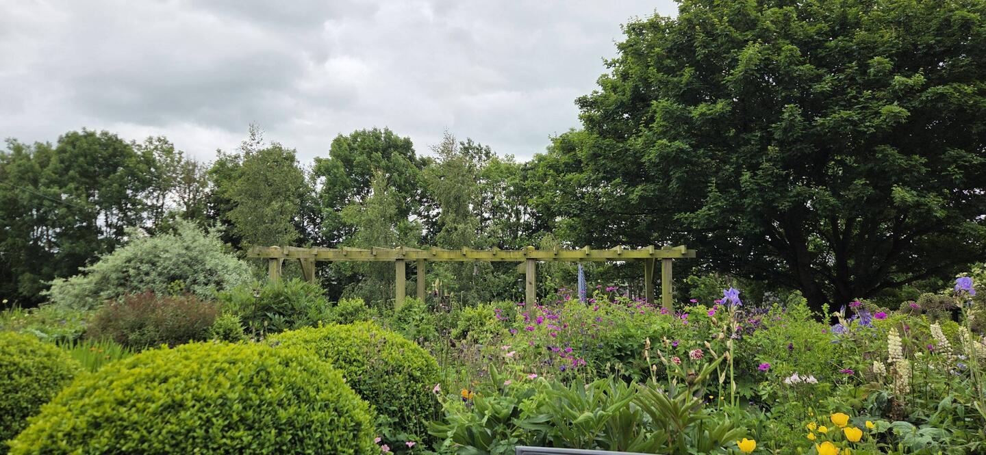 Julie's beautiful garden!