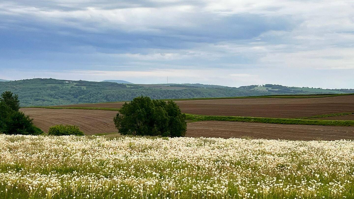So weit man sieht, nur Kartoffelfelder