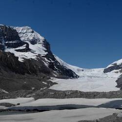 Athabasca gletsjer