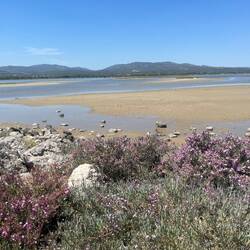 C'est vraiment une atmosphère particulière que ces étangs. Et avec 35°C, il faut avoir de l'eau