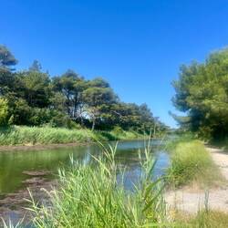 Le long du canal, les pins parasols apportent de l'ombre