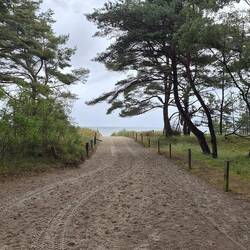 Die Ostsee immer neben uns die ersten 10 km