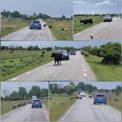 Bisschen Schottland Flair auf'm Rückweg