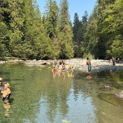 Badestelle beim Lower Englishman River Falls