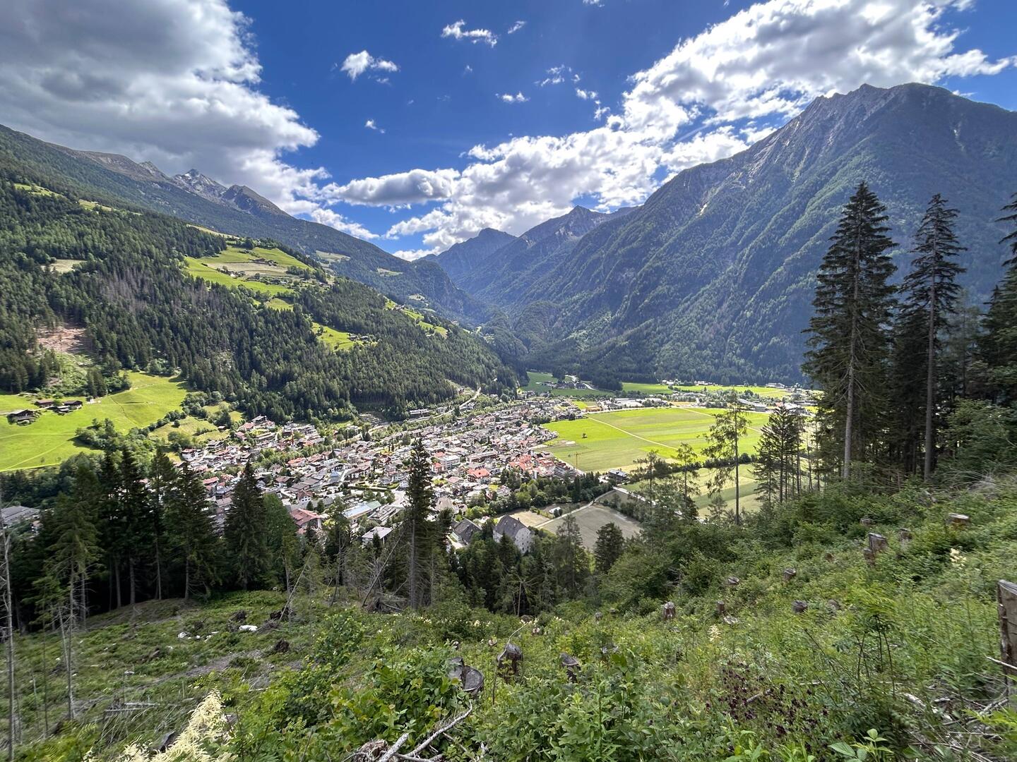 Herrlicher Blick ins Tal