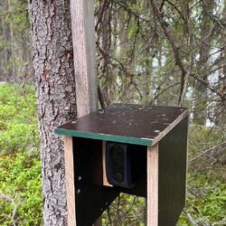 Auch in Finnland zählt man die Besucher auf dem Wanderweg