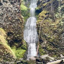 Triple Decker Fall