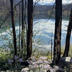 Fifth Lake