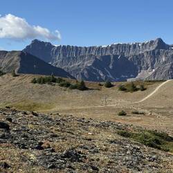 Die Landschaft wurde bergiger und karger