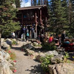 Plain of Six Glaciers Tea House