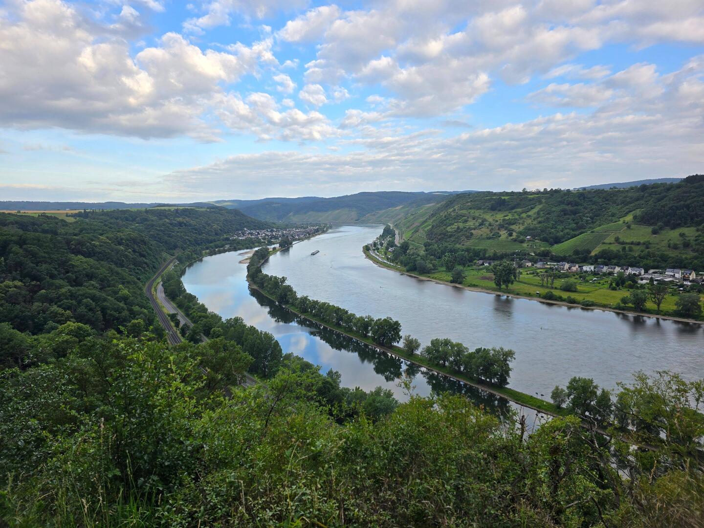 Rheinblick