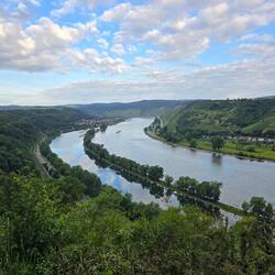Rheinblick