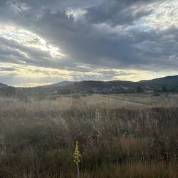 It was overcast for most of the morning. I hated when that broke up.