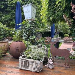 Netter Stopover-Halt in der Eifel