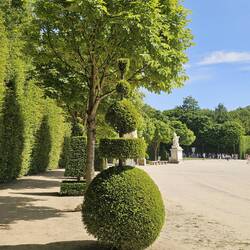 The garden in Versailles