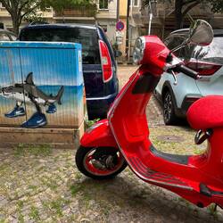 Rote Vespa mit Hai.