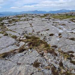 Foel Penlau Limestone pavement. These are everywhere. This was the most extensive example I saw.