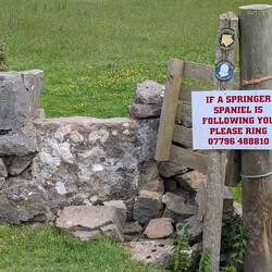 The spaniel found me! Crazy stone stile