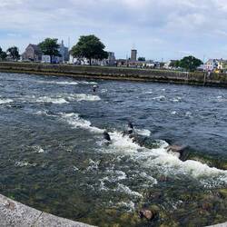 River Corrib, one of Europe's fastest flowing city rivers