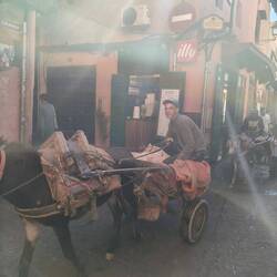 June 11 heading to medina tour - donkey cart run over