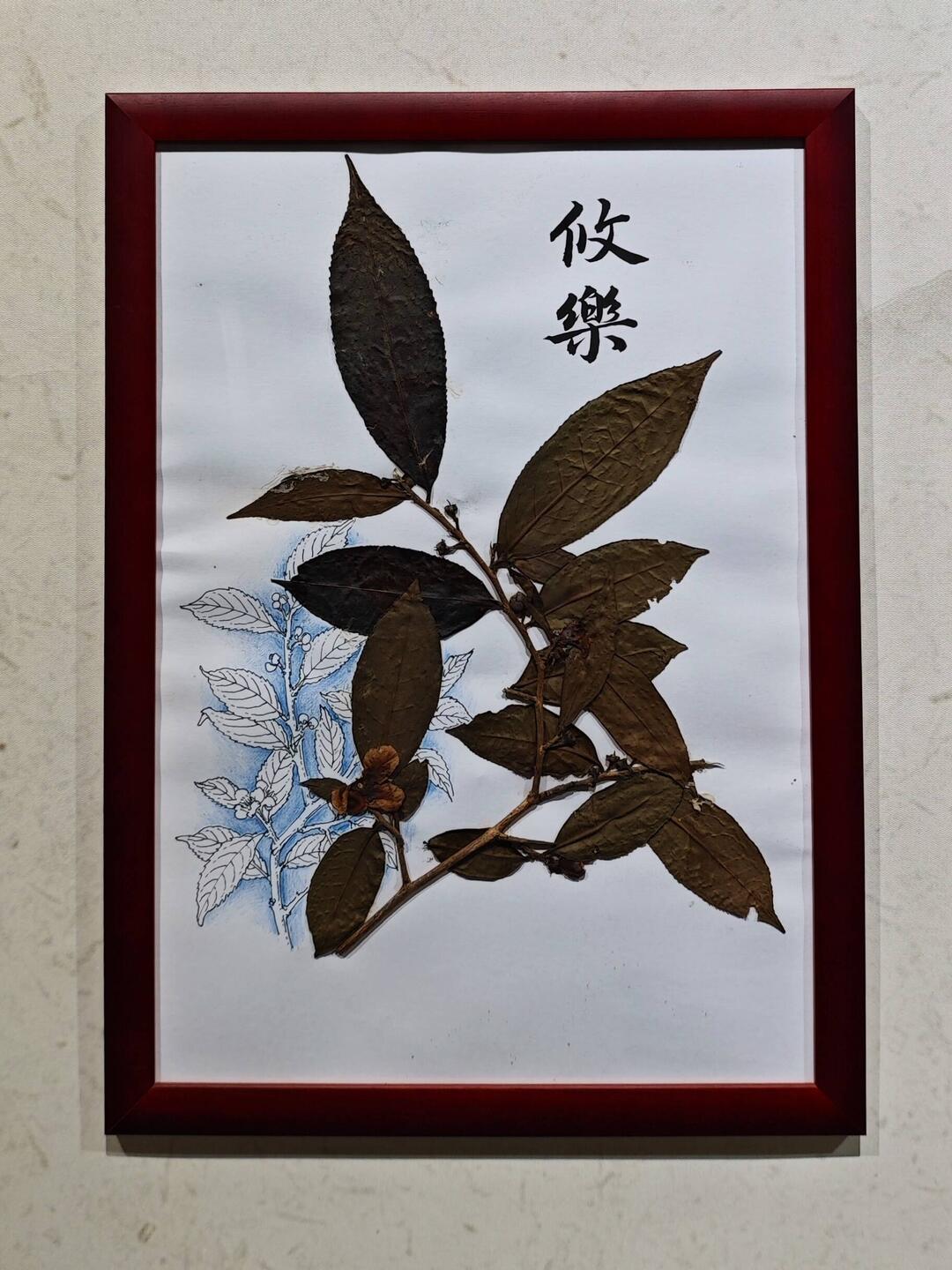 Different tea variants