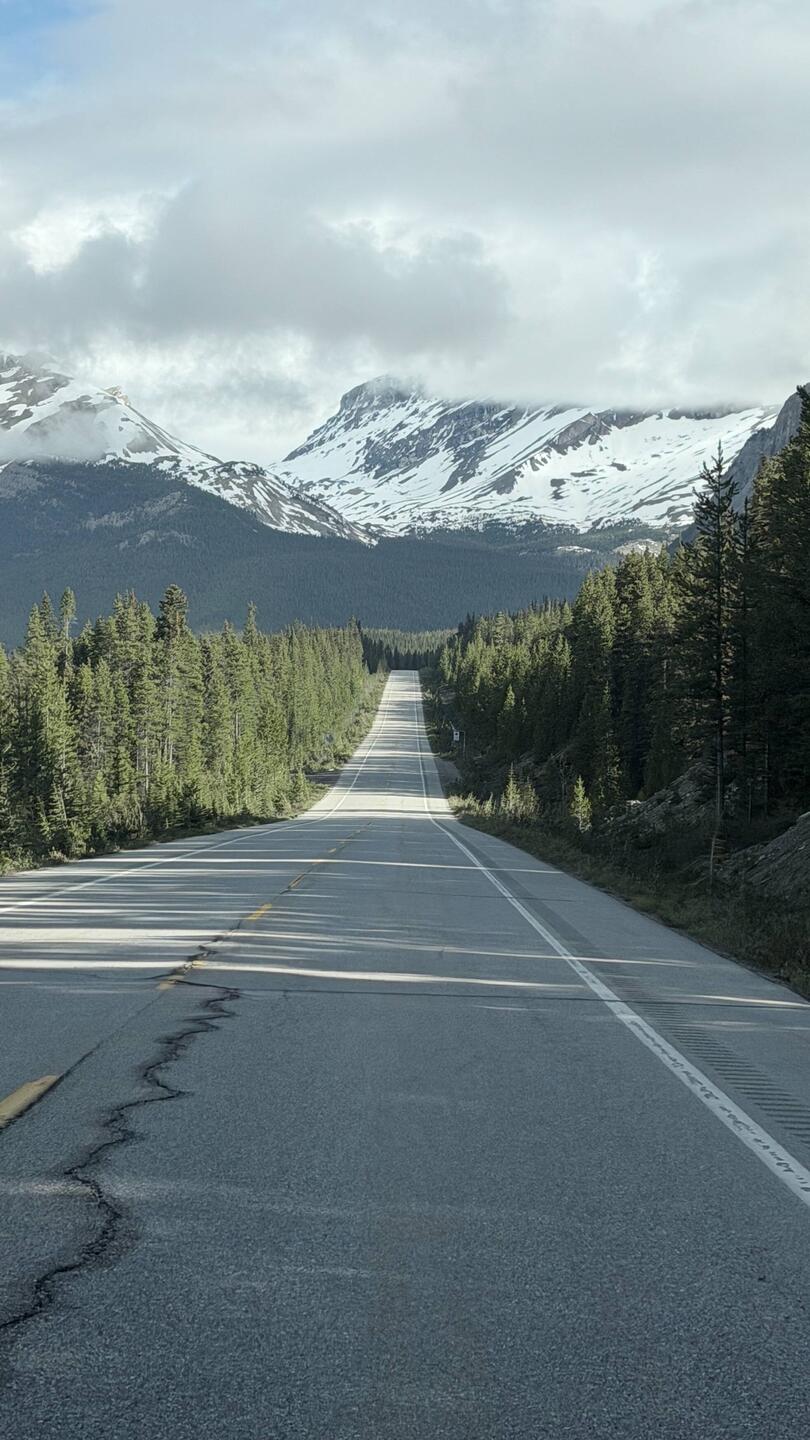 Einfahrt auf den Icefields Parkway