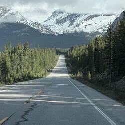 Einfahrt auf den Icefields Parkway