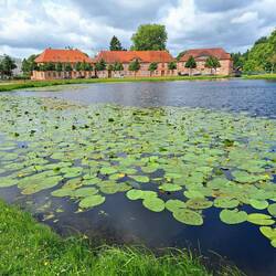 Schlossfreiheit-Teich vor dem Schloss Ludwigslust mit Teichrosen