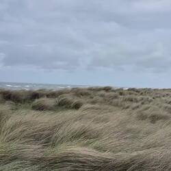 Windstärke 6