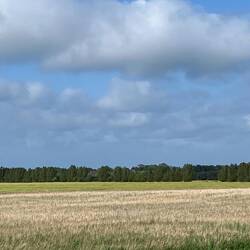 Noch mehr Landschaft