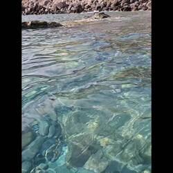 Vidéo-diaporama fin d'après-midi à la plage déserte du 1000e km