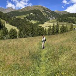 Heidi auf der Alm