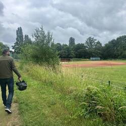 Toto kann nichts mehr halten, als er das Feld sieht.