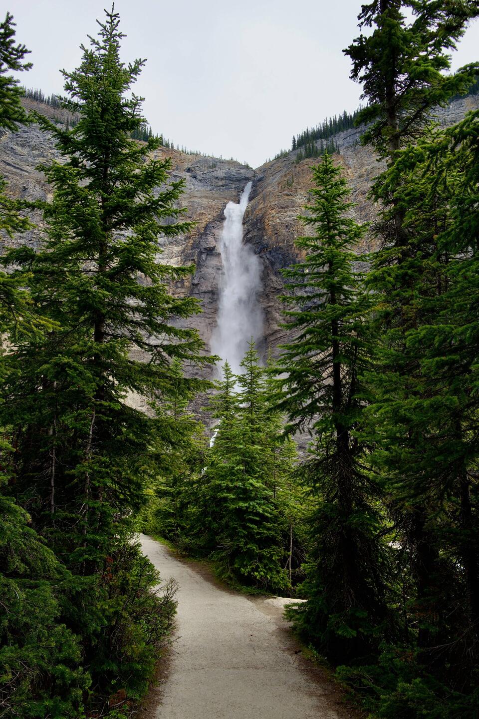 Takakkaw waterval in de Yoho vallei