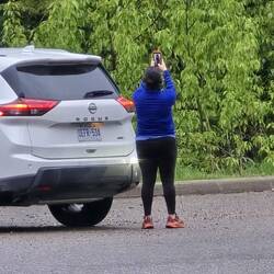 Paparazzi