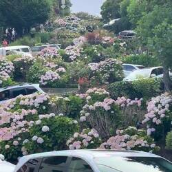 Stau auf der Lombard Street