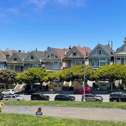 Painted Ladies