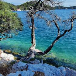 Wir wollten eigentlich baden in dem Salzsee der vom Meer gespeist wird, er ist größer als erwartet..