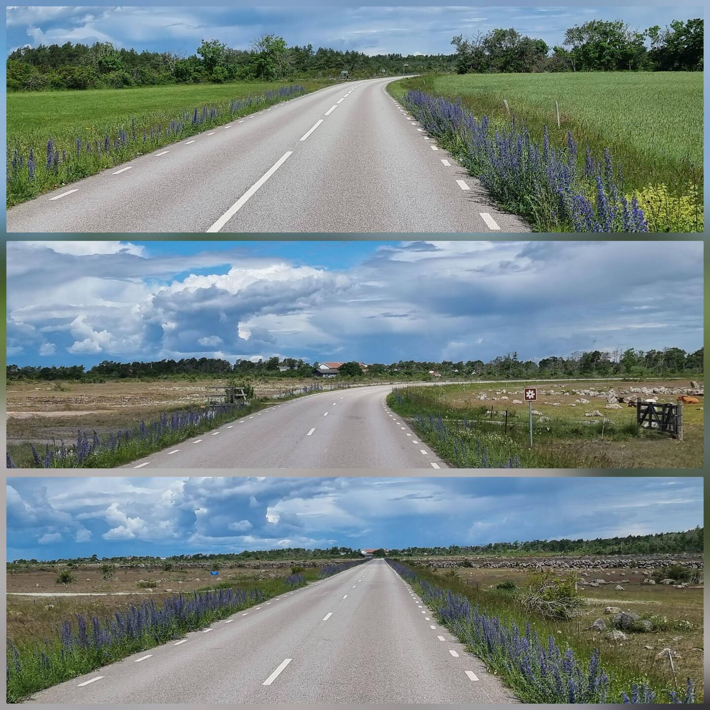 Unterwegs