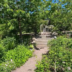 Sehr schön angelegter Garten