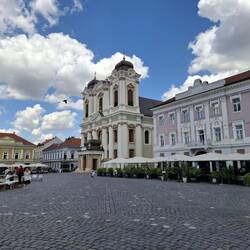 Dom zu Timișoara