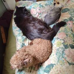 Resting with mum