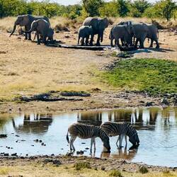Aus, natural waterhole