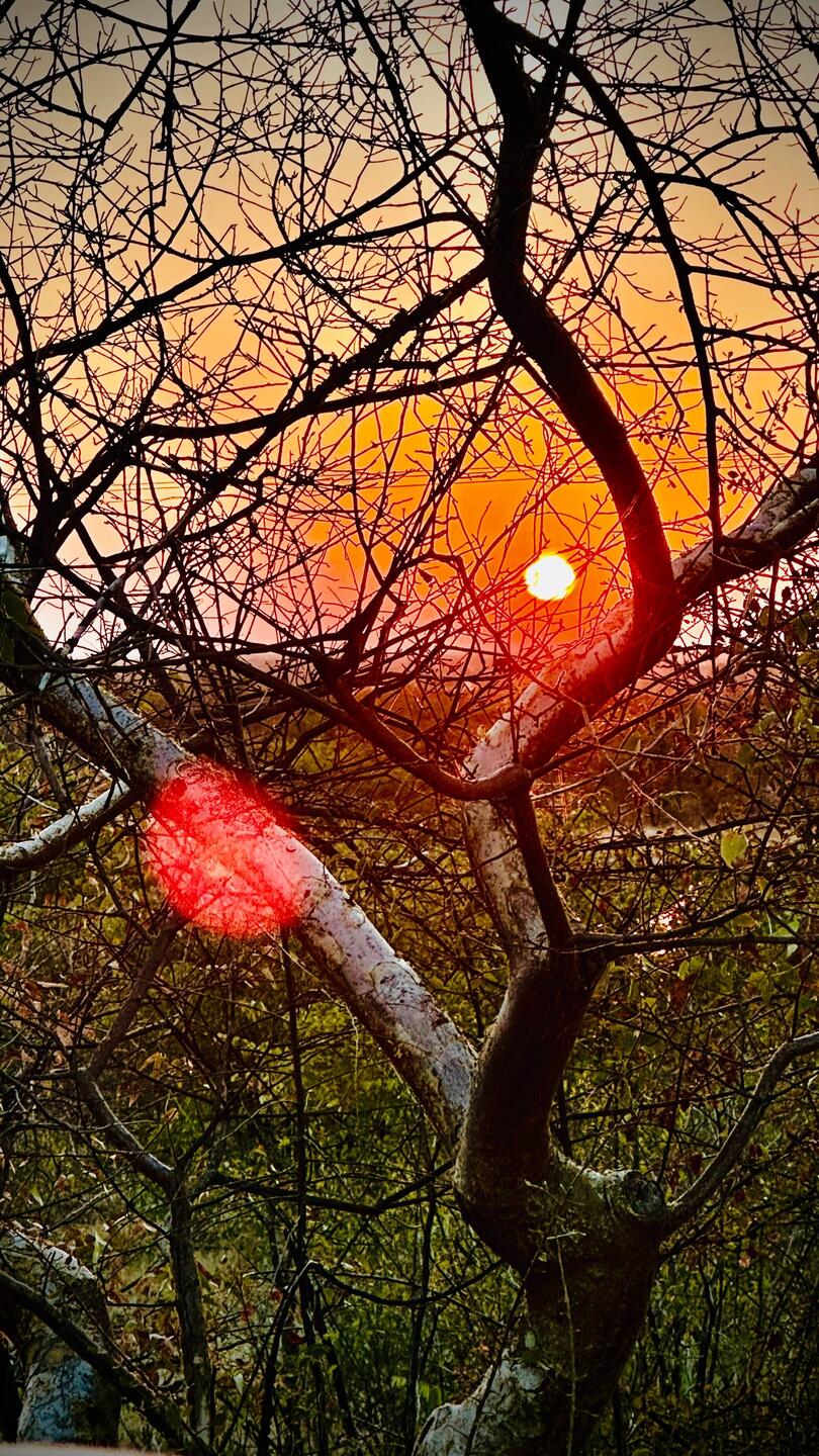 Sonnenaufgang