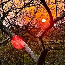 Sonnenaufgang