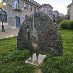 This peacock statue caught our attention (after watching them in Seville).